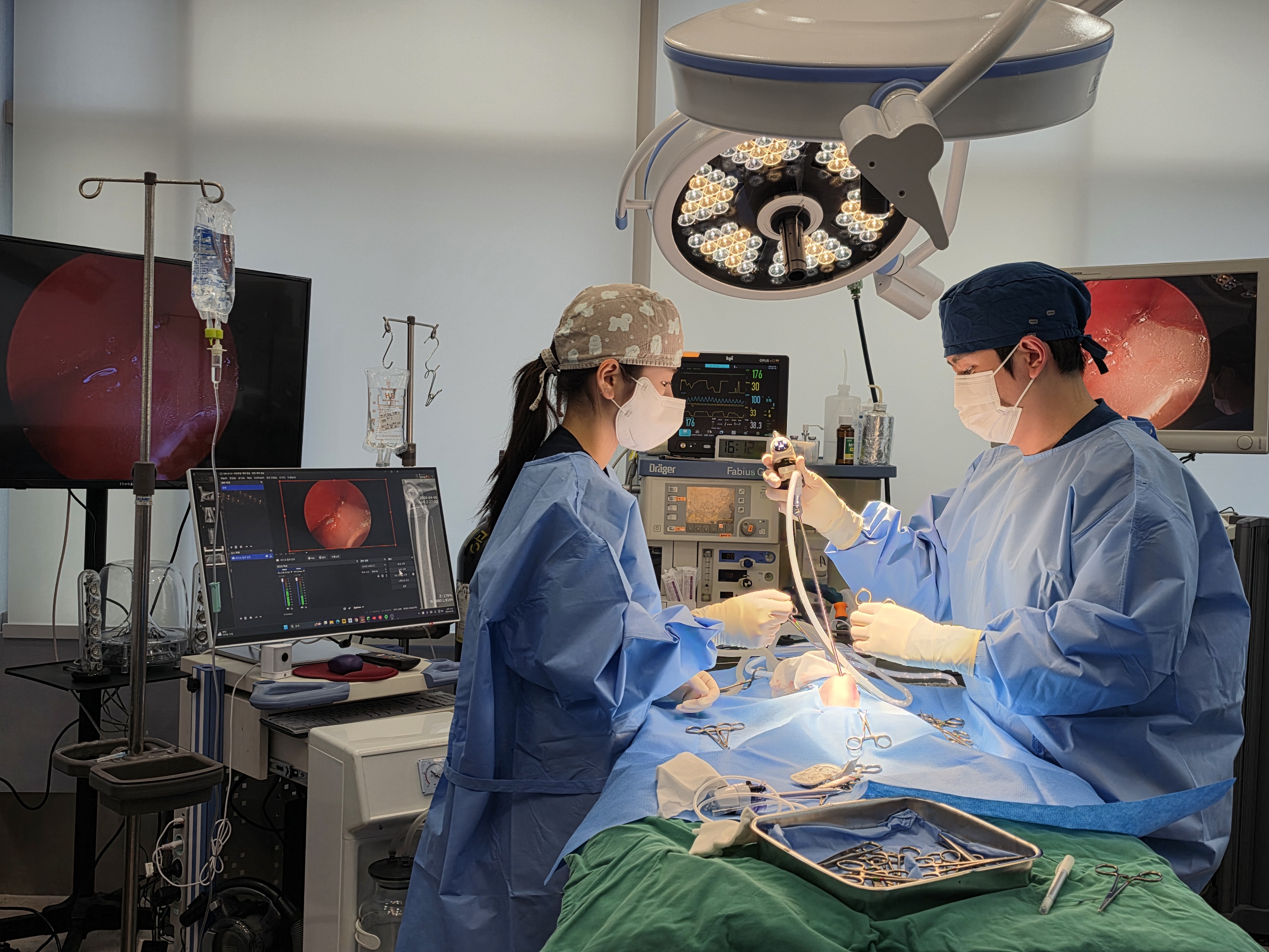 의료진 이미지
