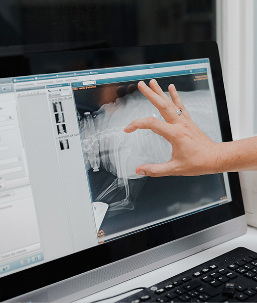 영상 센터 이미지