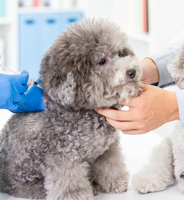 일반 진료 이미지