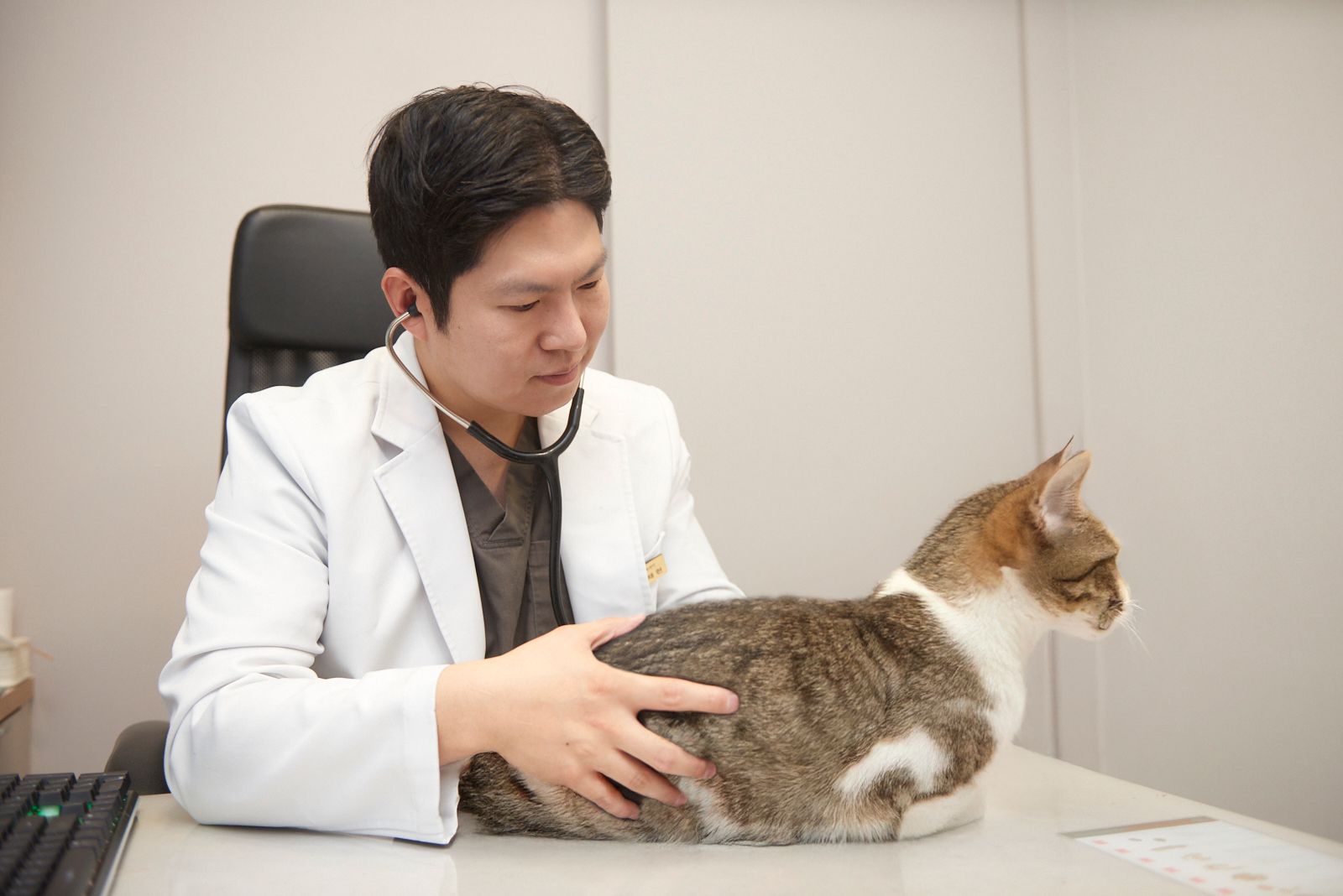 내과 치료 이미지