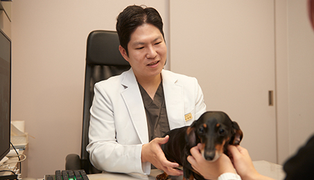 치아 상태 상담