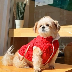 정다현 과장 반려동물 사진 3