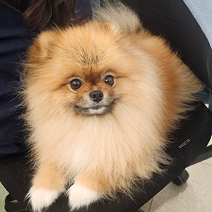 김홍빈 과장 반려동물 사진 2