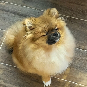 김홍빈 과장 반려동물 사진 3