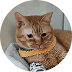 김정국 원장 반려동물 사진 1