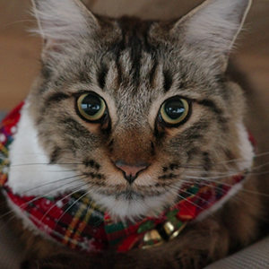 손정영 부원장 반려동물 사진 2