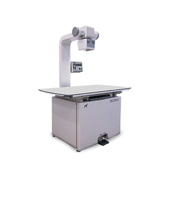 엑스레이 이미지