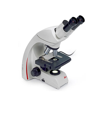 현미경_LEICA DM500 이미지