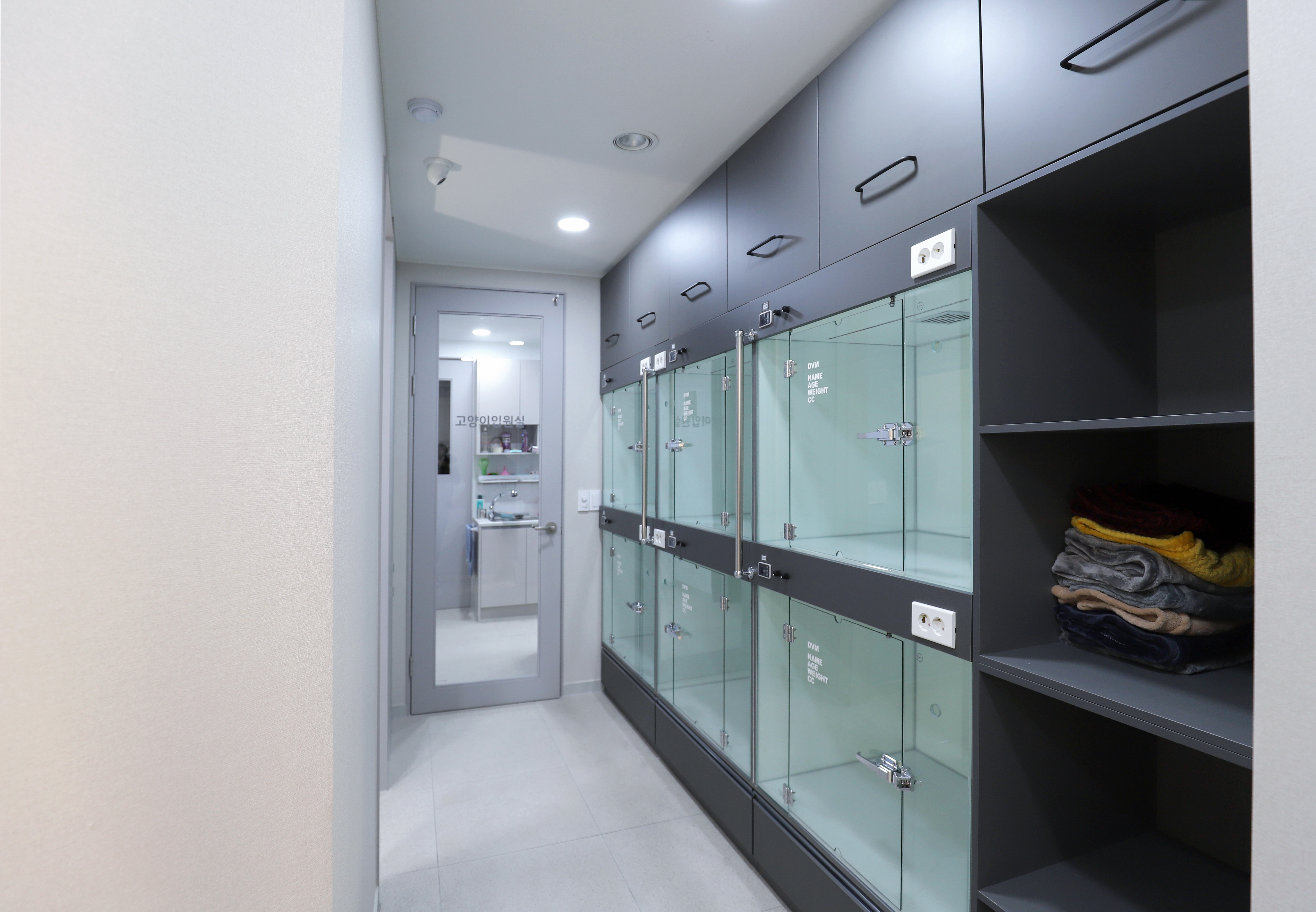 고양이 입원실 이미지