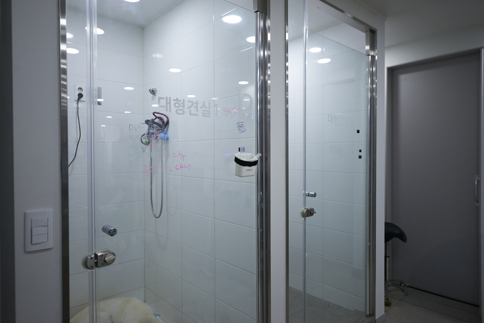 대형견 전용 입원실 이미지