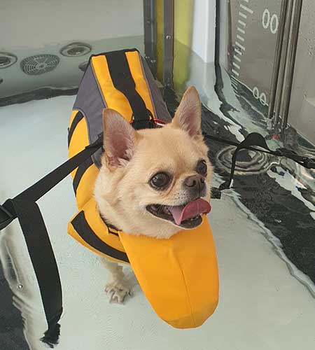 수중재활 이미지