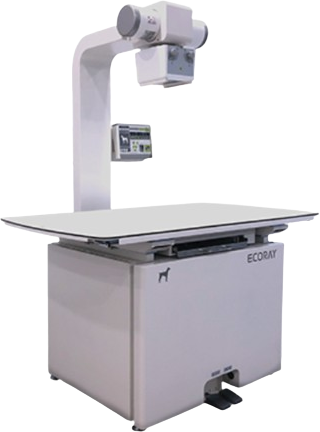 X-ray 촬영 이미지